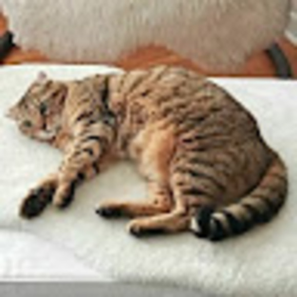 Meet your Posher, Karine - Picture 1 of 1